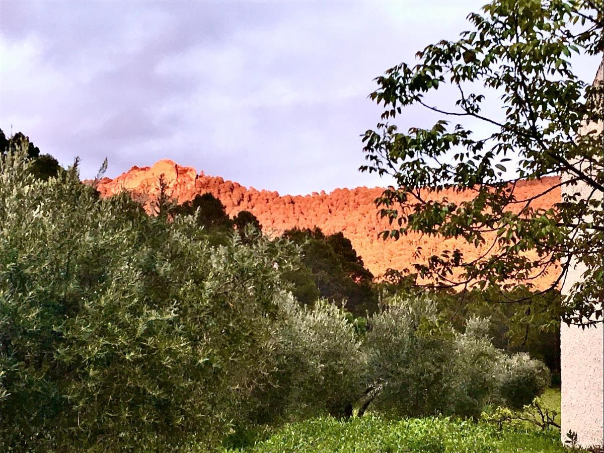Casa Rural Cortijo La Ajedrea Siles Extérieur photo